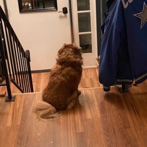 Meet your Posher, Deborah